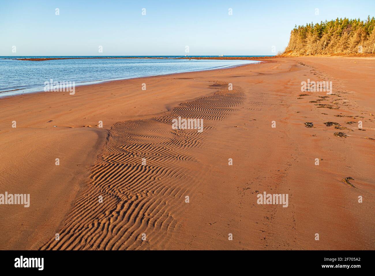 Roter, welliger Sandstrand auf Prince Edward Island Stockfoto