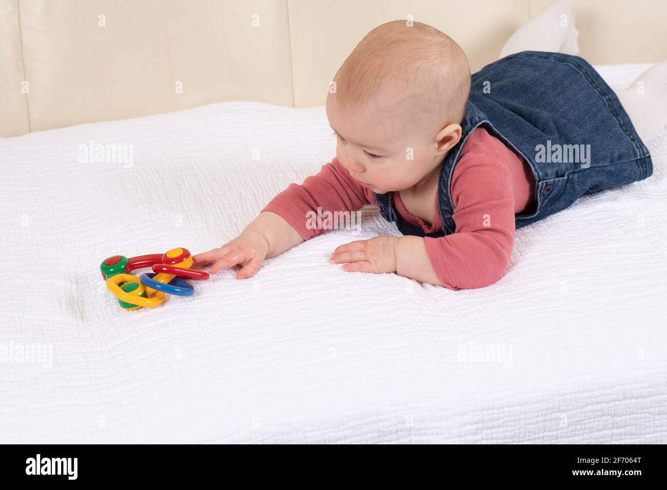 4 Monate altes Mädchen auf dem Bauch, das nach Spielzeug greift Stockfoto
