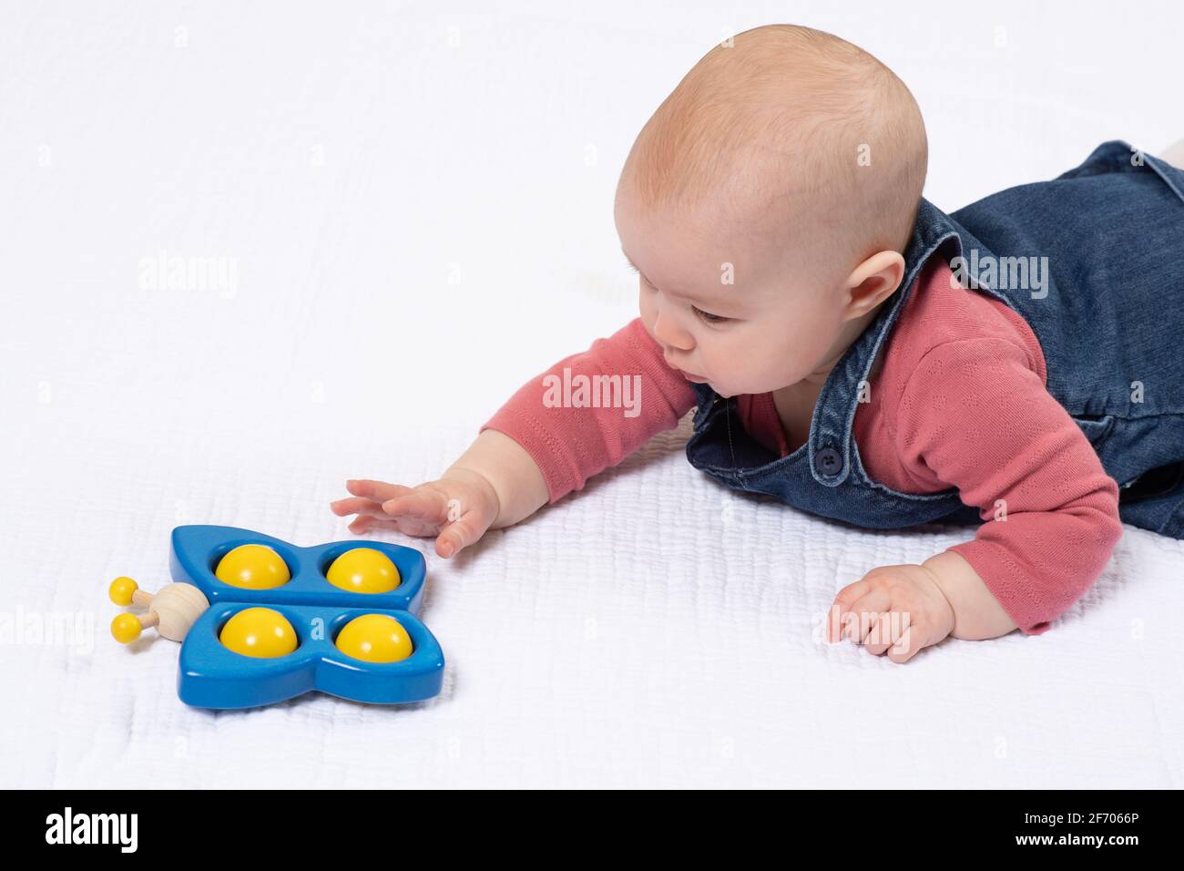 4 Monate altes Mädchen, auf dem Bauch, nach Spielzeug greifend Stockfoto