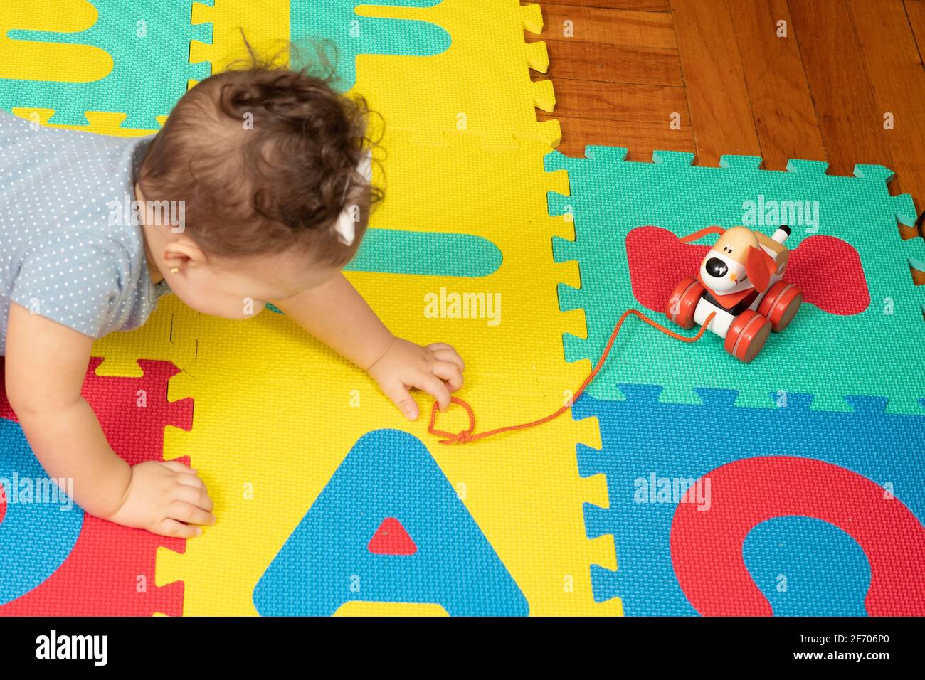 7 Monate altes Mädchen kriecht auf das Pull-Spielzeug zu und greift mit Daumen und Zeigefinger nach der Schnur Stockfoto