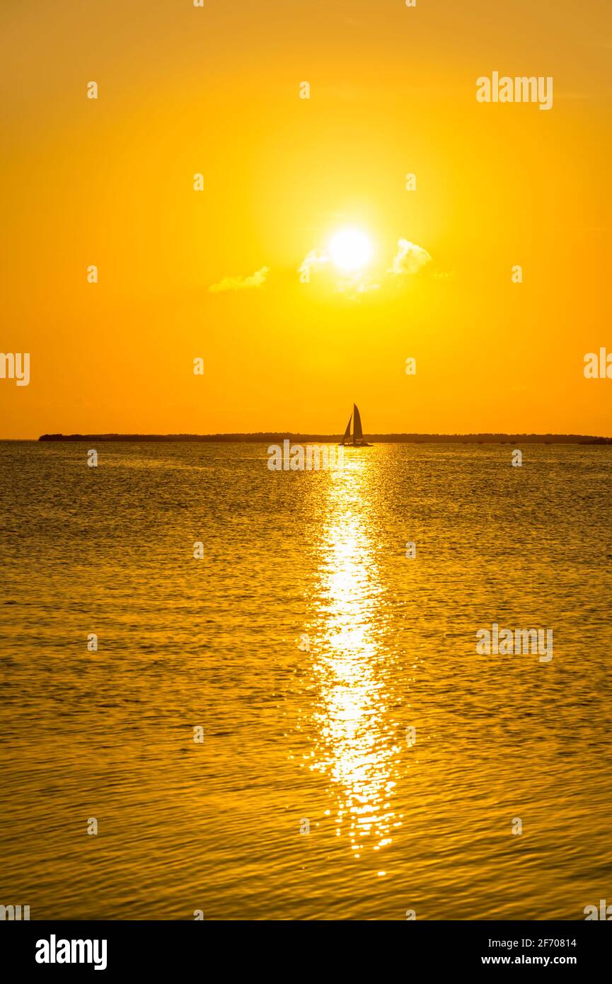 Segelboot zum Sonnenuntergang, Key Largo, Florida USA Stockfoto