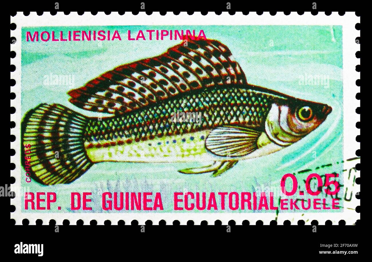 MOSKAU, RUSSLAND - 19. DEZEMBER 2020: Die in Äquatorialguinea gedruckte Briefmarke zeigt Sailfin Molly (Poecilia latipinna), Fische (I) exotische Serie, circ Stockfoto