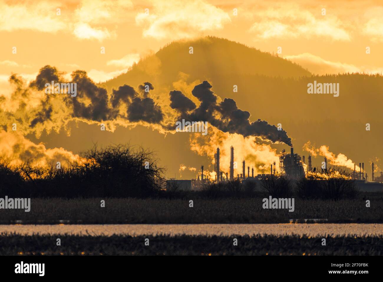 Die Ölraffinerie March Point in Anacortes, Washington, wurde von hinten beleuchtet Die untergehende Sonne, wenn der Dampf aus den Abgaskangeln aufsteigt Stockfoto