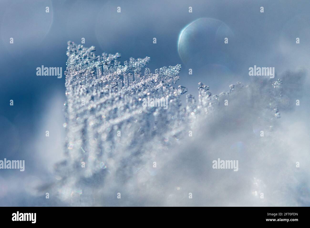 Makrobild von Frost, der empfindliche Pyramidenformen auf einem bildet Wintermorgen in kühlem blauem Licht Stockfoto