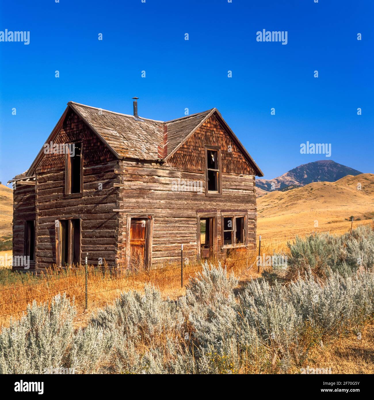 Alte Gehöft Hütte in den Ausläufern der bearpaw Berge in der Nähe von Big Sandy, montana Stockfoto