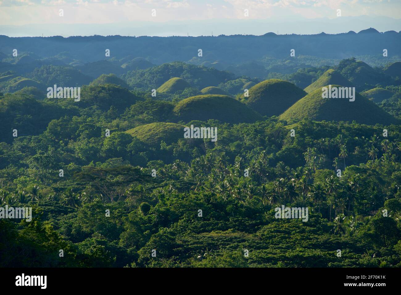 Blick auf die „Chocolate Hills“, Carmen, Provinz Bohol, Philippinen, Südostasien. Bekannt in Cebuano als MGA Bungtod sa Tsokolate, und in Tagalog als: Tsokolateng burol. Konische KarstlandschaftBlick auf die „Chocolate Hills“, Carmen, Provinz Bohol, Philippinen, Südostasien. Bekannt in Cebuano als MGA Bungtod sa Tsokolate, und in Tagalog als: Tsokolateng burol. Konische Karstlandschaft Stockfoto