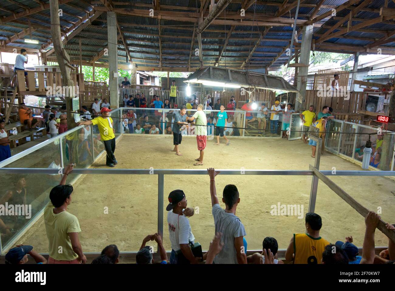 Eine überfüllte Kampfarena, Camayaan, Bohol, Philippinen. Stockfoto