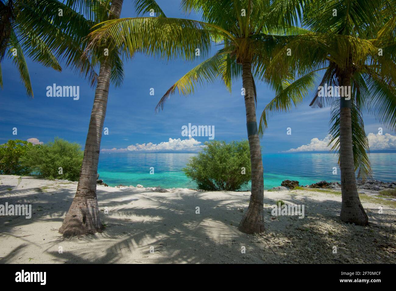 Tropischer Sandstrand in der Nähe des Doljo-Strandes, mit Palmen und türkisblauem Wasser, Paglao Island, an der Spitze der Insel in der Nähe des Dorfes Tumoy, Paglao, Bohol, Philippinen Stockfoto