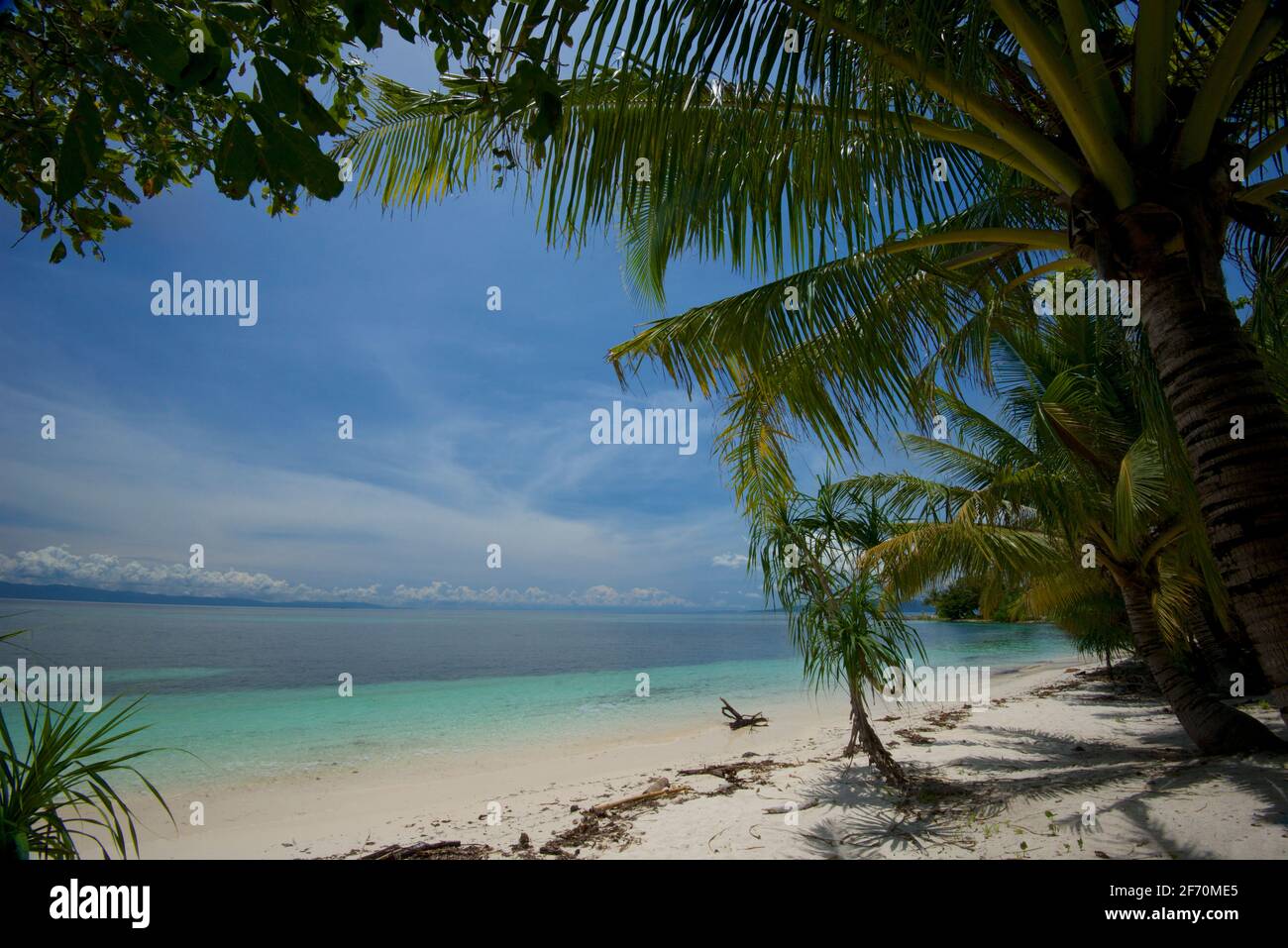 Tropischer Sandstrand in der Nähe des Doljo-Strandes, mit Palmen und türkisblauem Wasser, Paglao Island, an der Spitze der Insel in der Nähe des Dorfes Tumoy, Paglao, Bohol, Philippinen Stockfoto