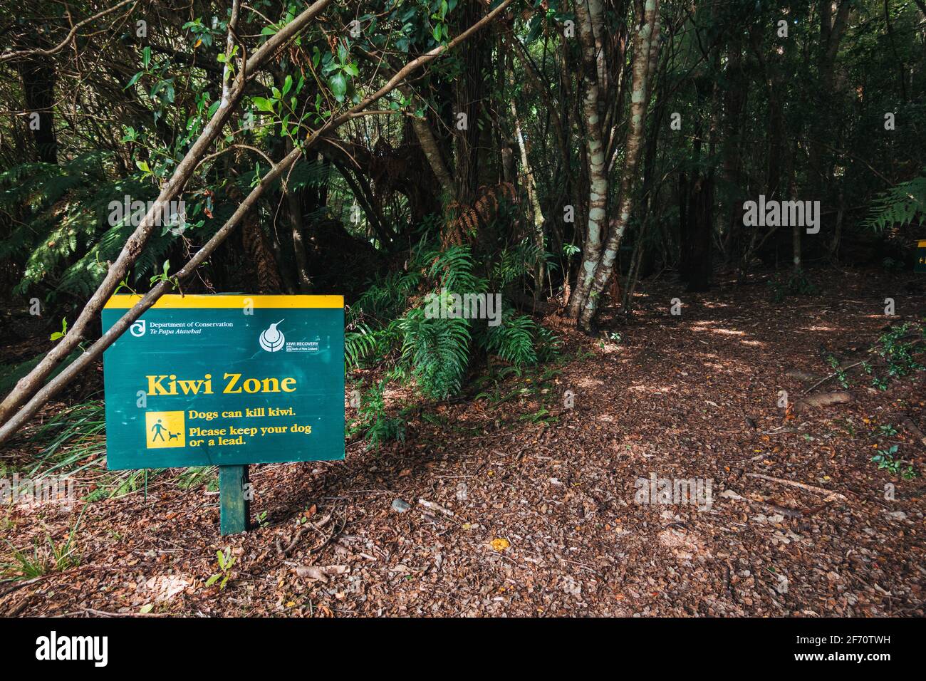 Ein Schild der Kiwi-Zone, das vom Department of Conservation am Anfang eines Naturweges im Kaimanawa Forest Park, Neuseeland, errichtet wurde Stockfoto