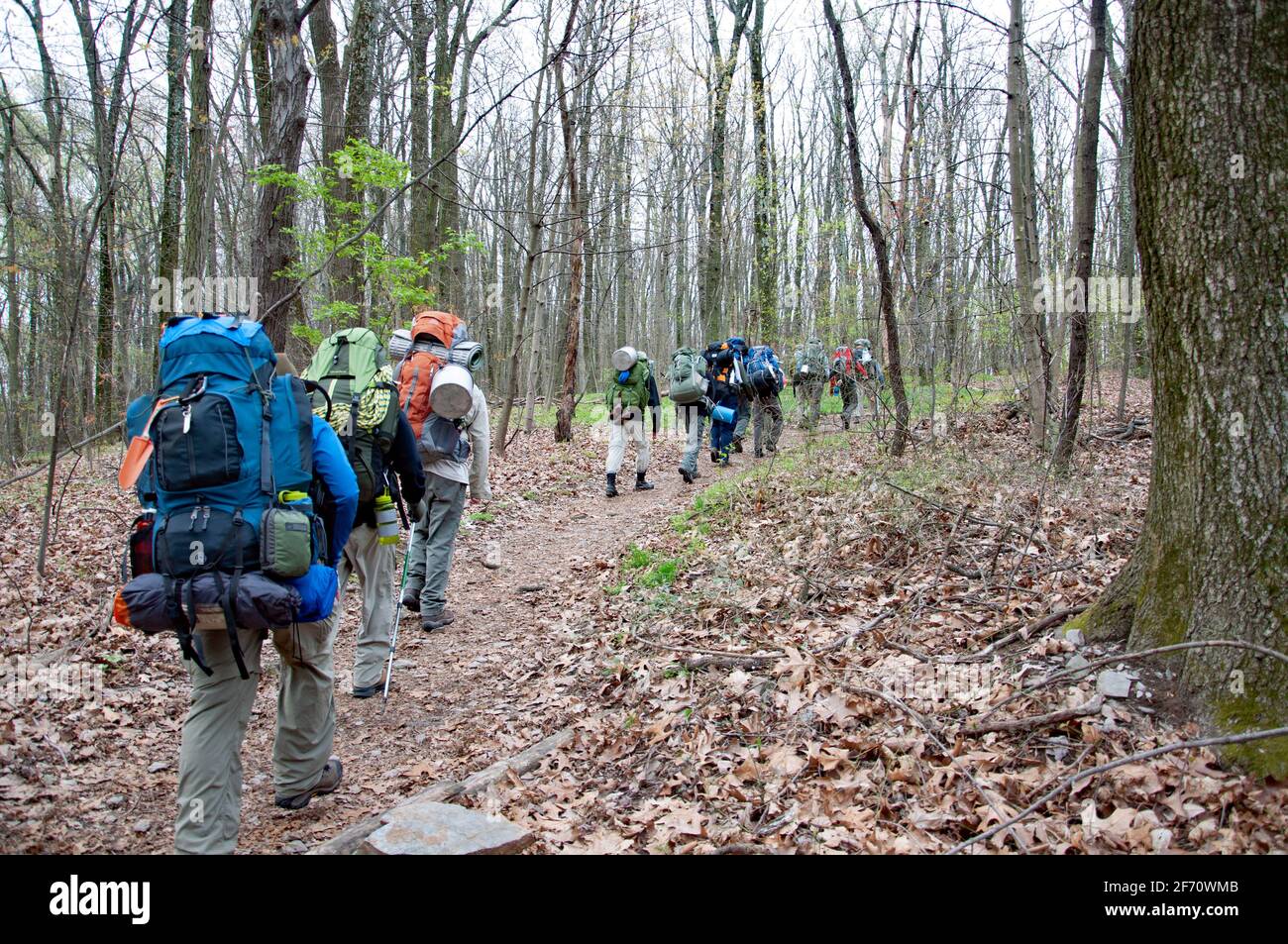 Rucksacktouristen wandern auf dem Appalachian Trail im Frühling Stockfoto