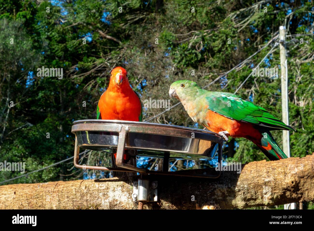 Etwas beim Abendessen besprechen Stockfoto