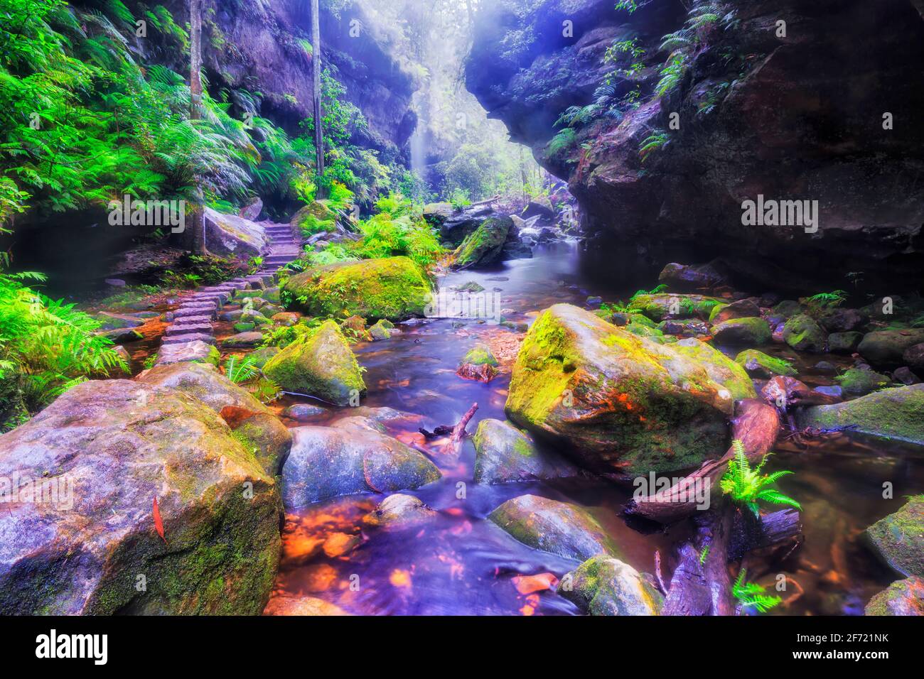 Tiefer Canyon mit Laufstreifen im Blue Mountains National Park von Australien - regnerisches, feuchtes Wetter und Wasserfälle. Stockfoto