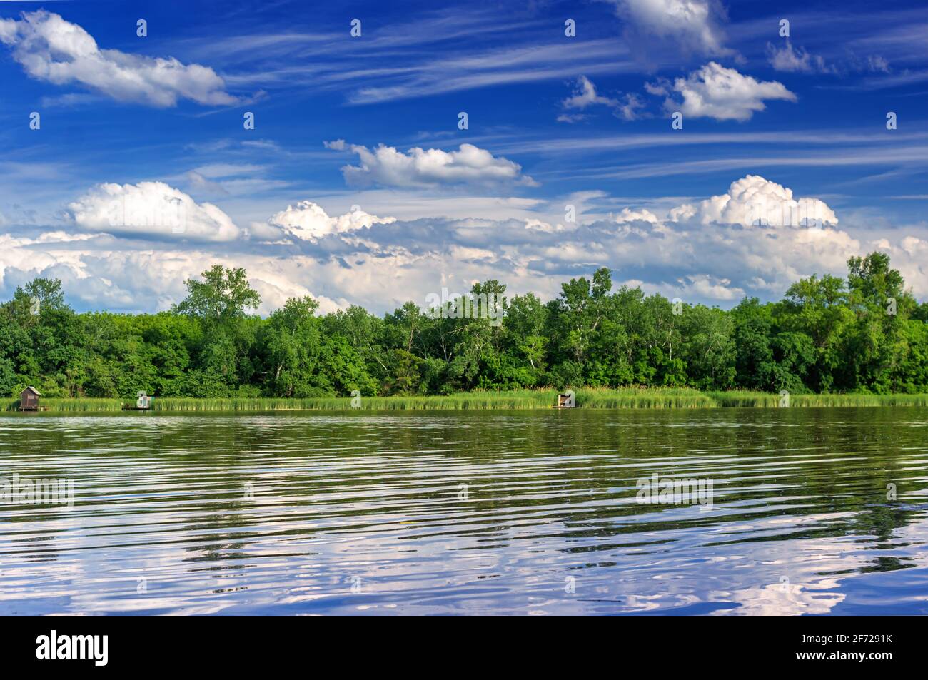 Flussuferlandschaft der Donau Stockfoto