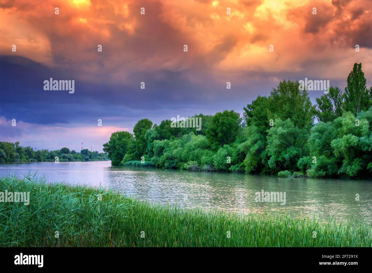 Bunte Flussuferlandschaft der Donau Stockfoto