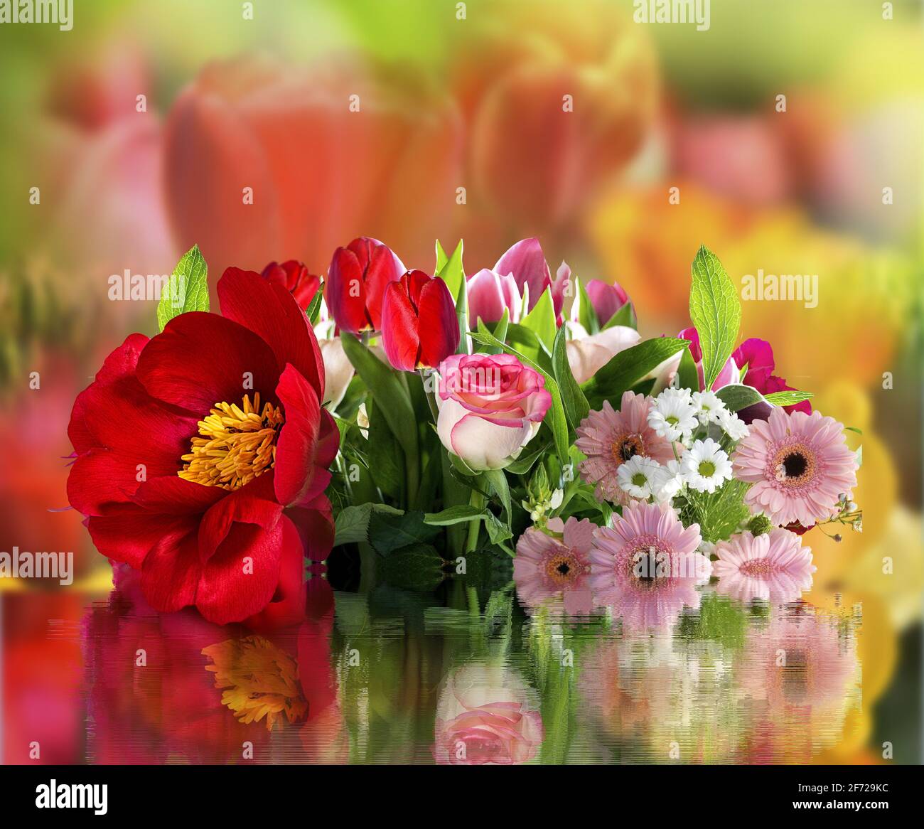 Blumen und Natur Frühling Bokeh Hintergrund Reflexion im Wasser Stockfoto