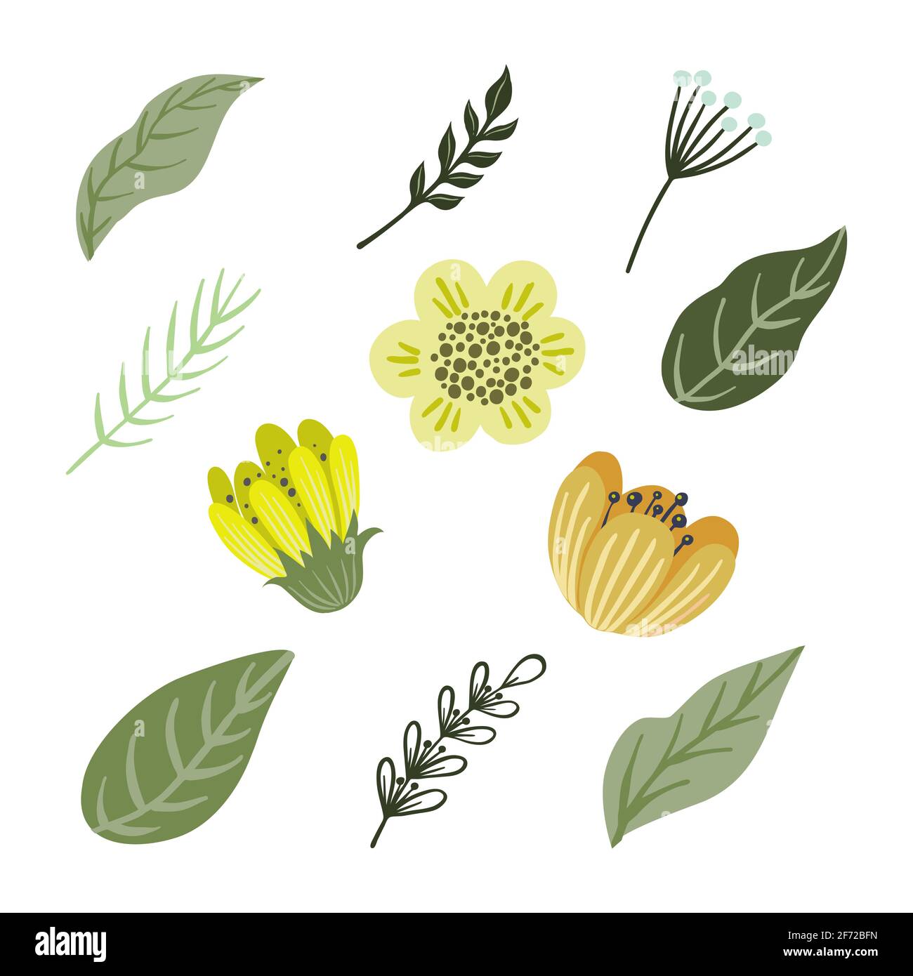 Set mit Vector-Blumen. Bunte Blumenkollektion mit Blättern und Blumen, isoliert auf weißem Hintergrund Stock Vektor Set mit Vector-Blumen. Bunte Blumenkollektion mit Blättern und Blumen, isoliert auf weißem Hintergrund Stock Vektor