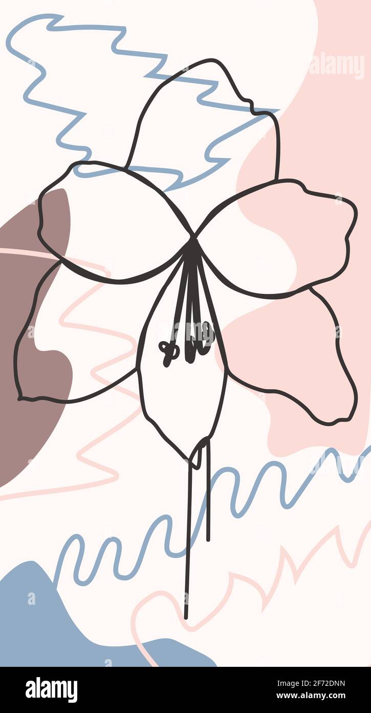 Vorlage mit floralen Geschichten. Gartenflora-Poster, Layout mit Blumenzusammensetzung und trendige Vorlagen für Social Media-Geschichten Stock Vektor