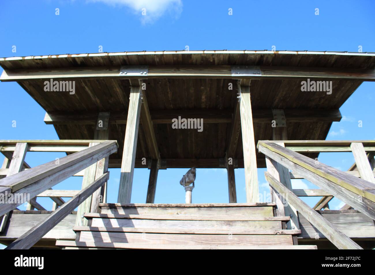 Fernglas in einem Sumpfturm in Florida. Stockfoto