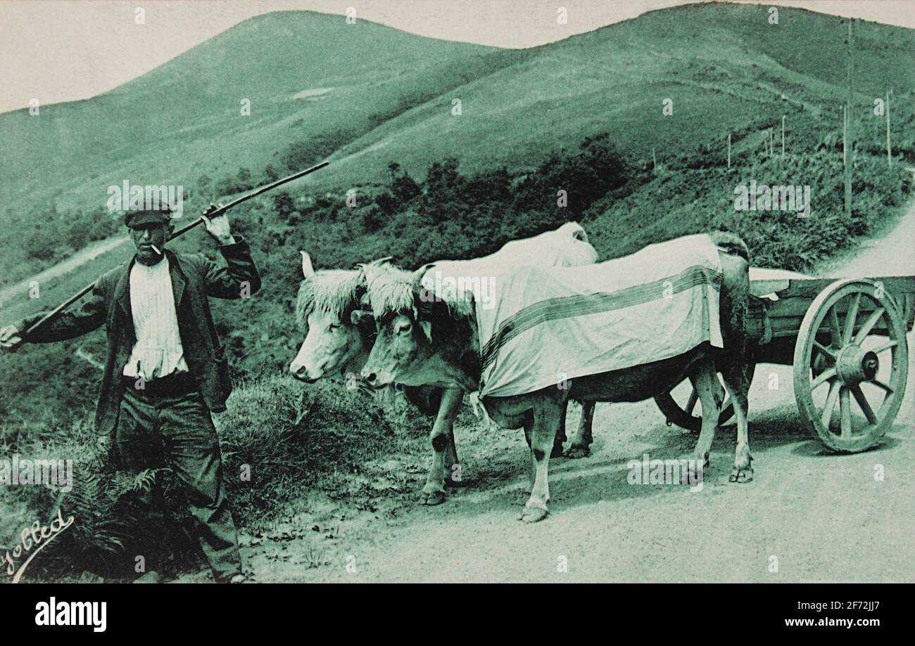 Postkarte um 1925 mit einem baskischen Bauern und seinem Ochsenteam. Stockfoto