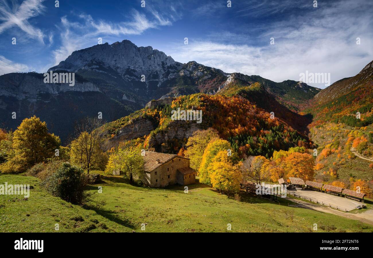 Gresolet-Tal und Buchenwald im Herbst, unter dem Pedraforca-Massiv (Naturpark Cadí-Moixeró, Katalonien, Spanien, Pyrenäen) Stockfoto