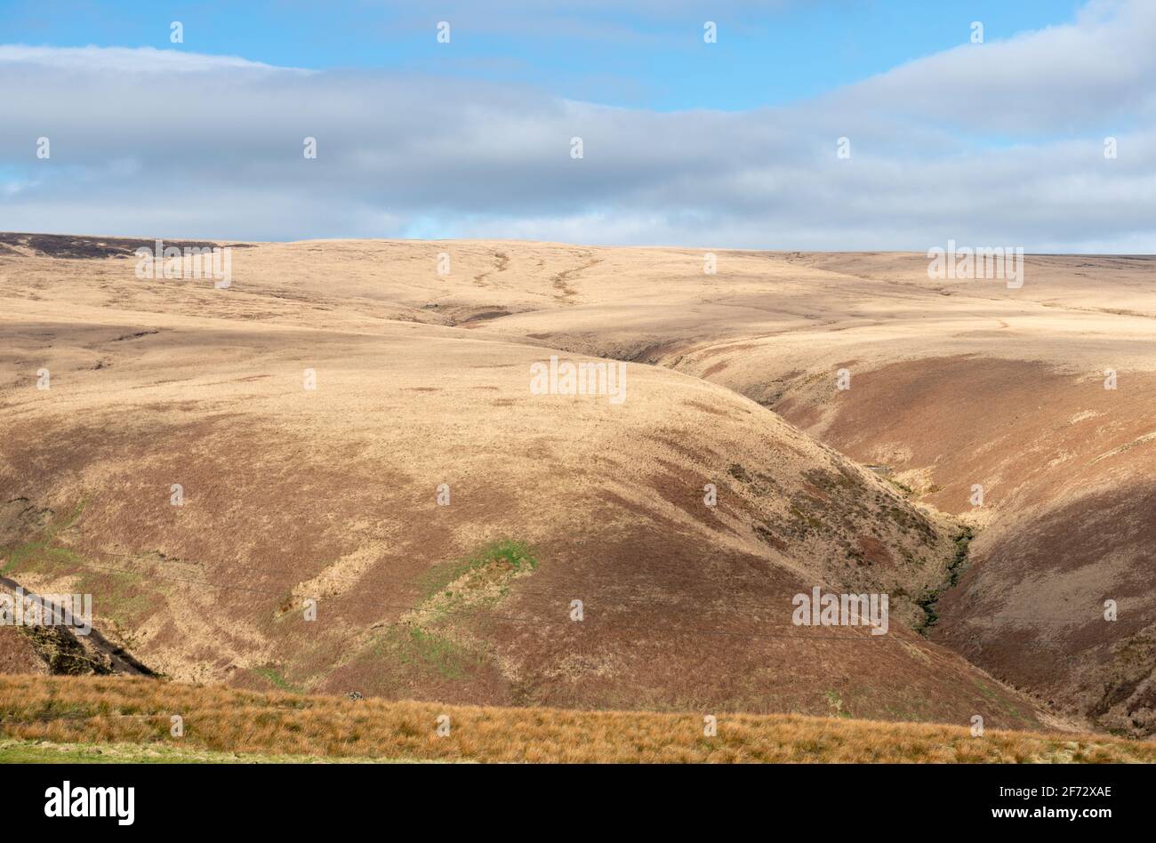 Blick von Pule Hill in Richtung Close Moss, Teil des Marsden Moor Estate, in den Yorkshire pennine Hills Stockfoto