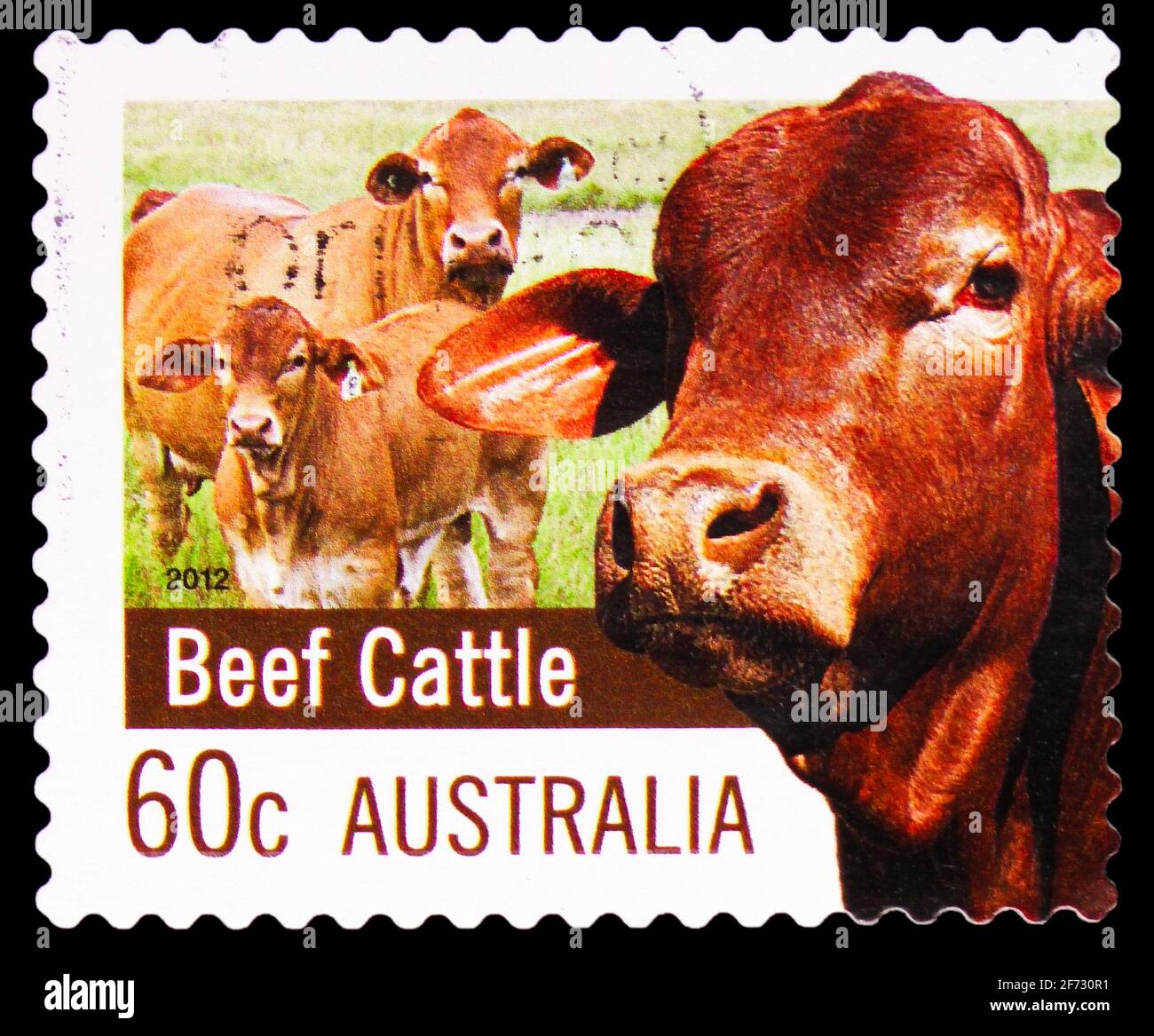 MOSKAU, RUSSLAND - 12. JANUAR 2021: Die in Australien gedruckte Briefmarke zeigt Rinder (Bos primigenius taurus), Farming Australia (2nd Series) Serie Stockfoto