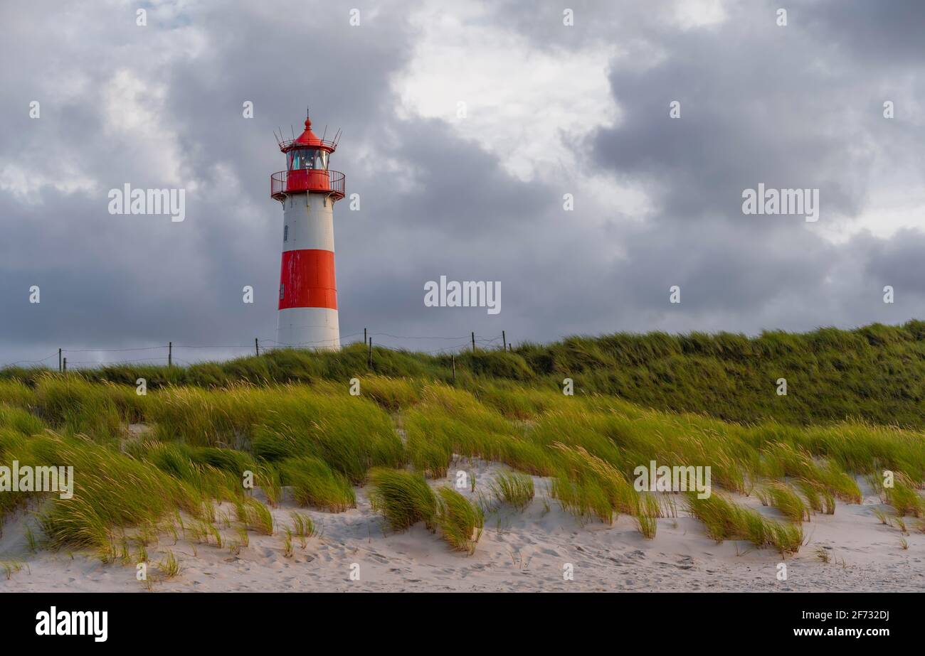 Rot-weißer Leuchtturm List-Ost in den Dünen vor bewölktem Himmel, Ellenbogen, Sylt, Nordfriesische Insel, Nordsee, Nordfriesland Stockfoto
