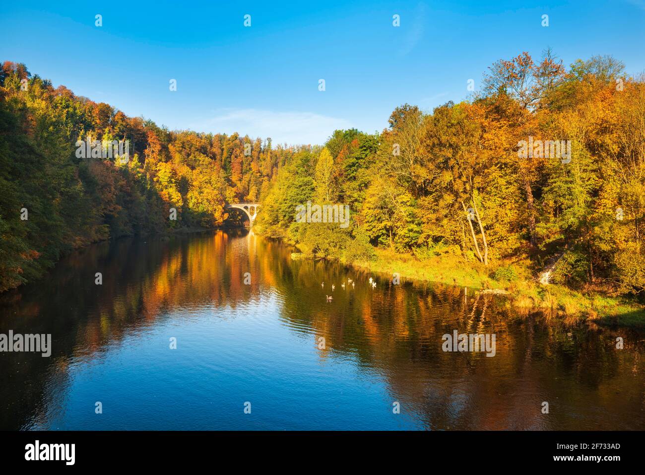 Bunter wald reflektiert -Fotos und -Bildmaterial in hoher Auflösung – Alamy