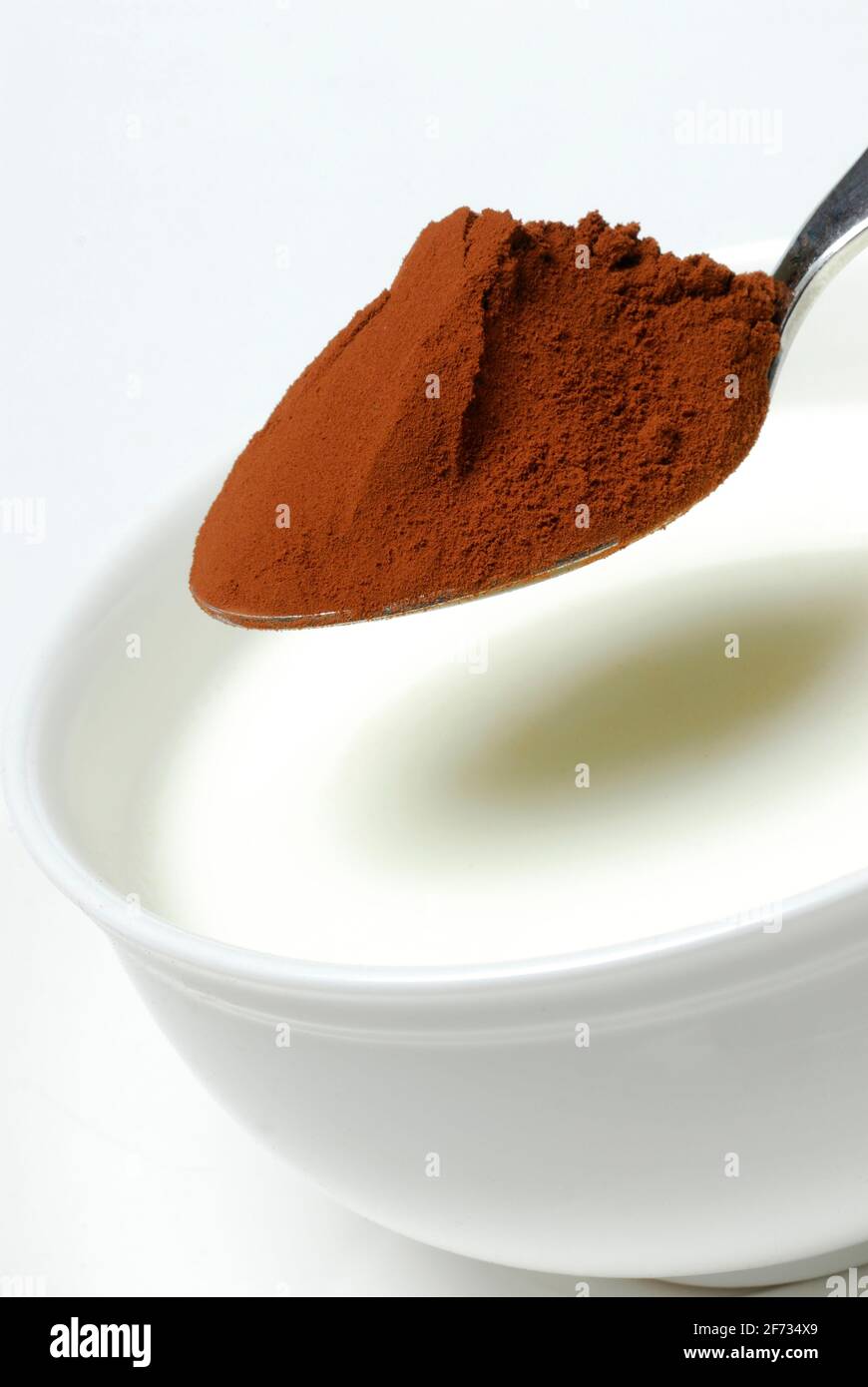 Der Löffel Kakaopulver wird in den Becher mit Milch, Kakaogetränk, Milch, Milchprodukten, Kakao gegeben Stockfoto