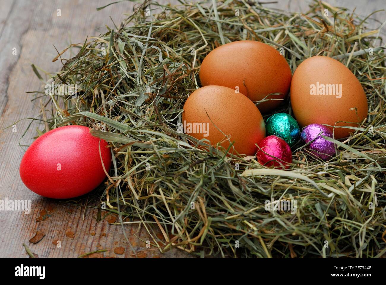 Hühnereier, Schokoladeneier und osterei im Nest, Schokolade Stockfoto