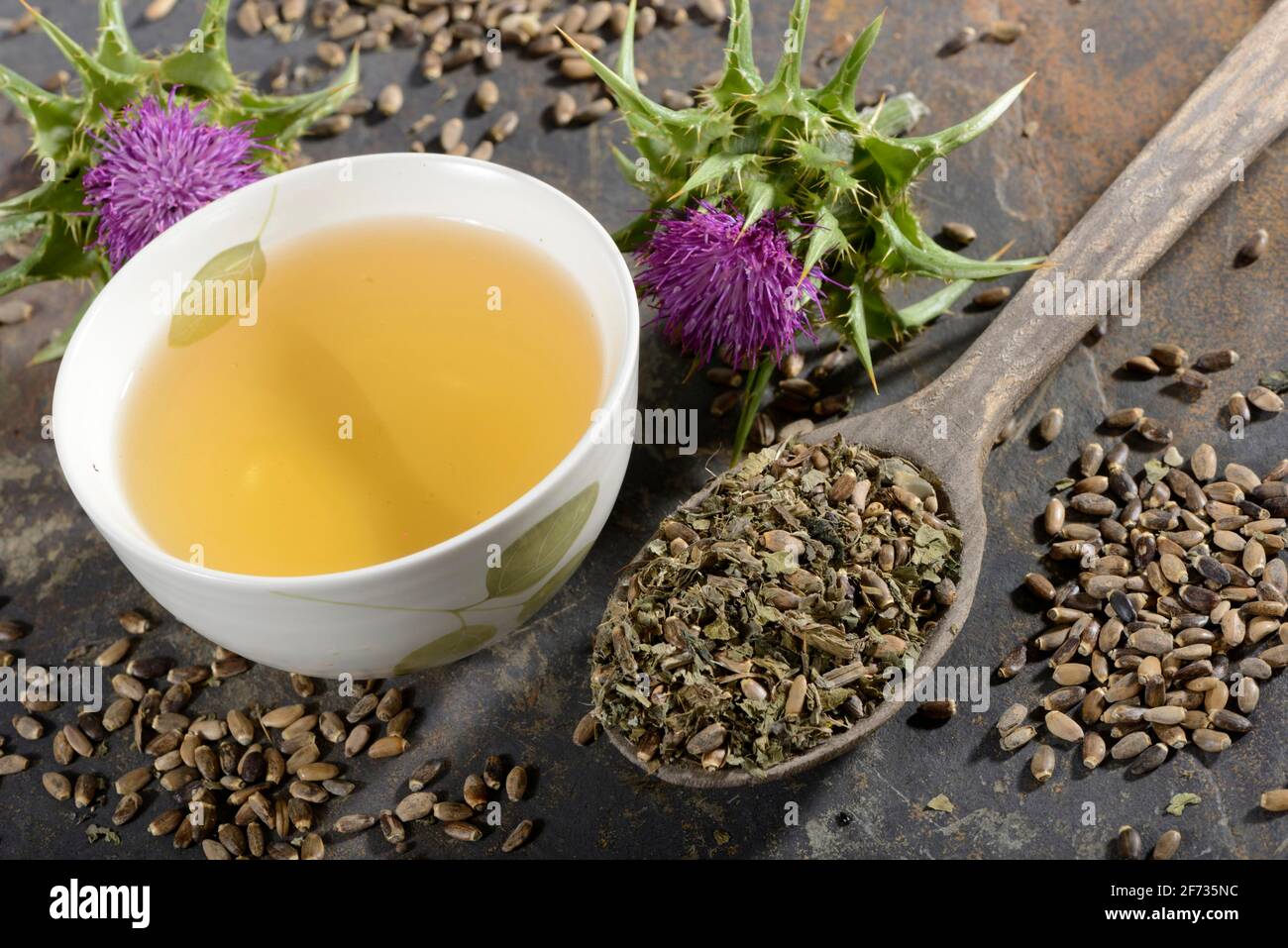 Tasse Distelmilchtee, Fieberdistel, Mariendistel, Distel (Silybum marianum), Stachelgras, Venusdistel, weiße Distel Stockfoto