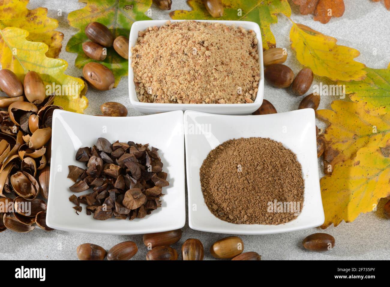 Eicheln, geröstet, gemahlen, Eichelmehl, Englische Eiche, Englische Eiche (Quercus robur) Stockfoto