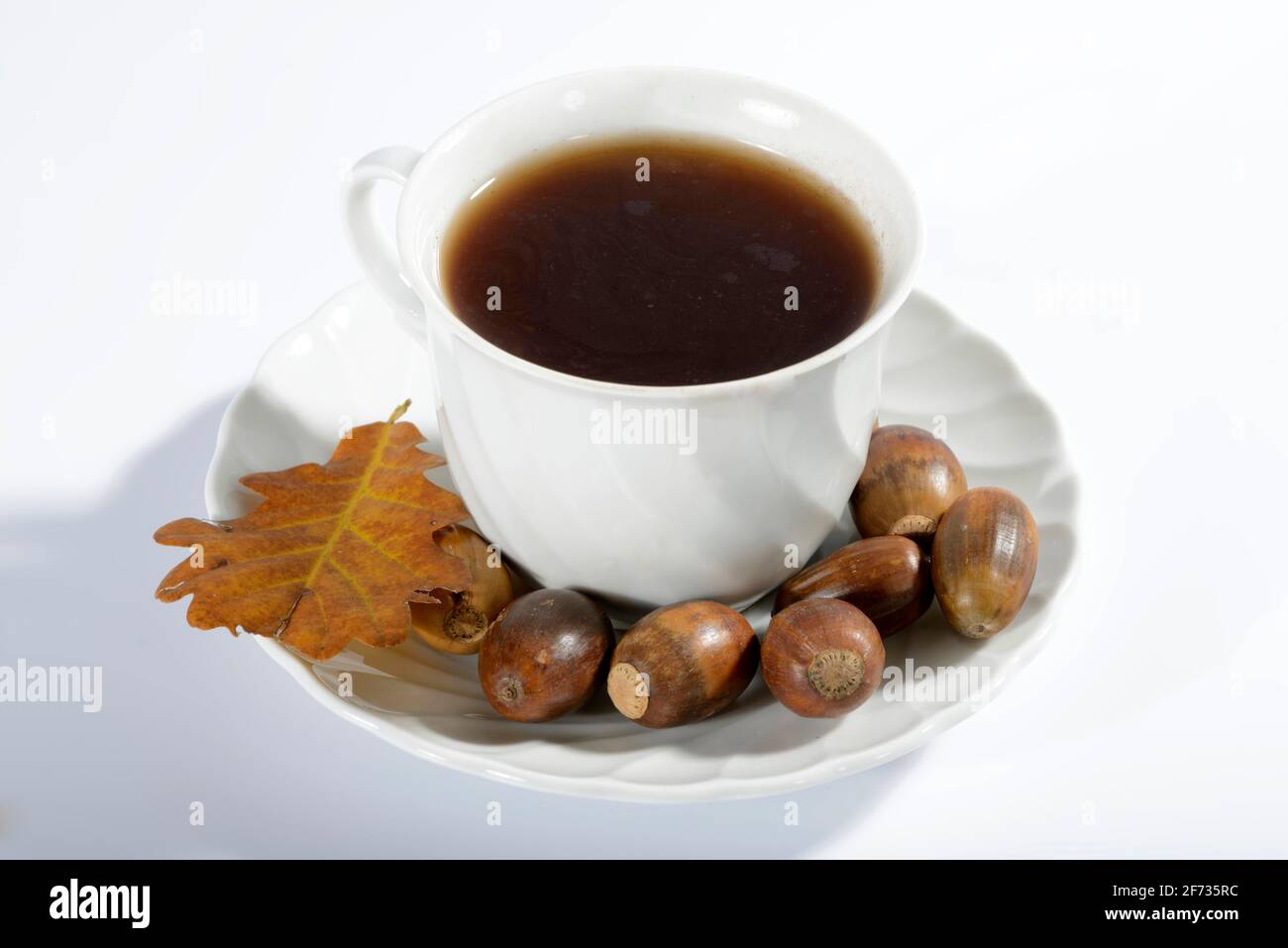 Acorn-Kaffee, englische Eiche, englische Eiche (Quercus robur), Tasse Stockfoto