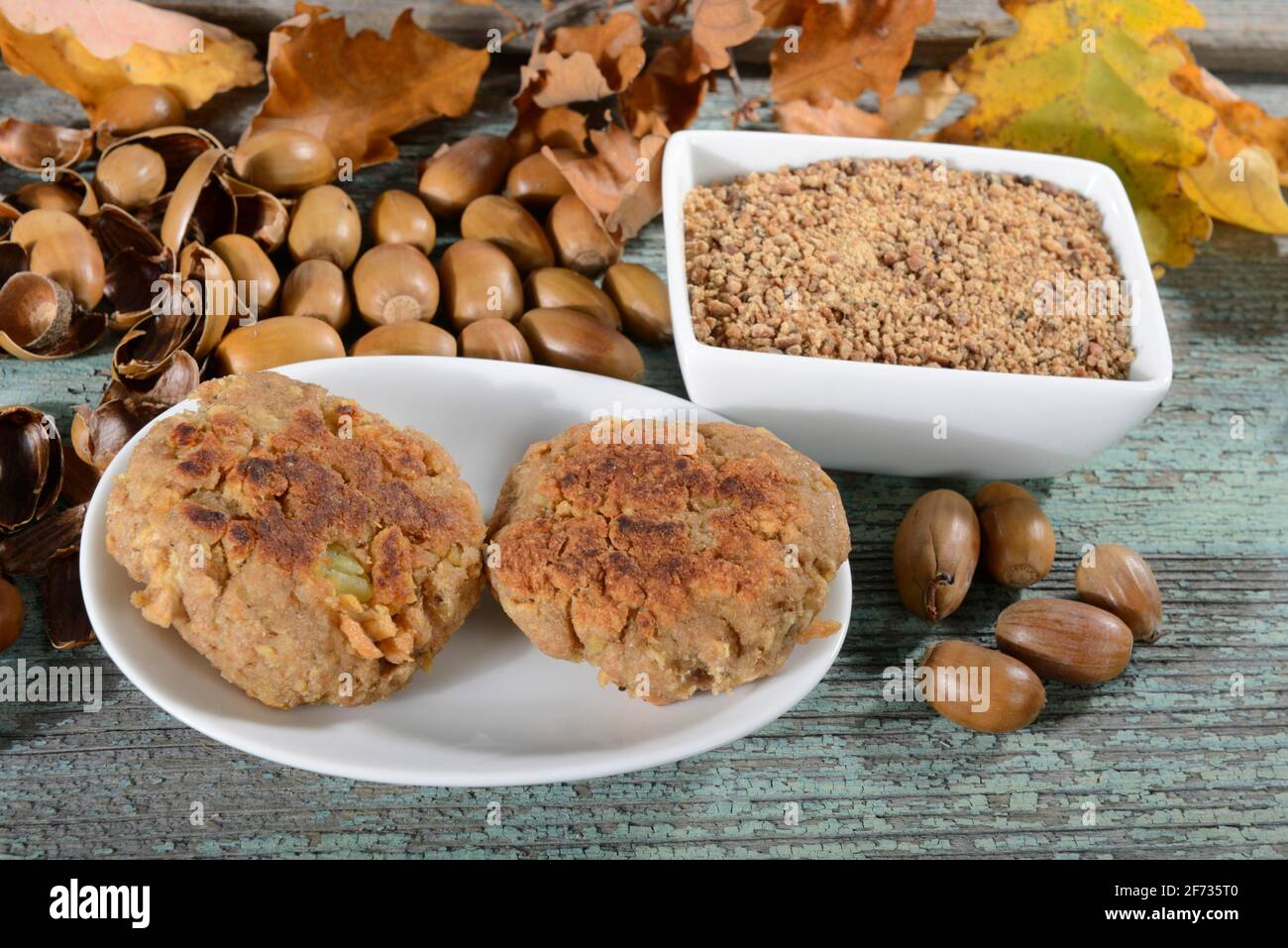 Burger aus Eichelmehl und Soja, englischer Eiche, Sommereiche (Quercus robur) Stockfoto