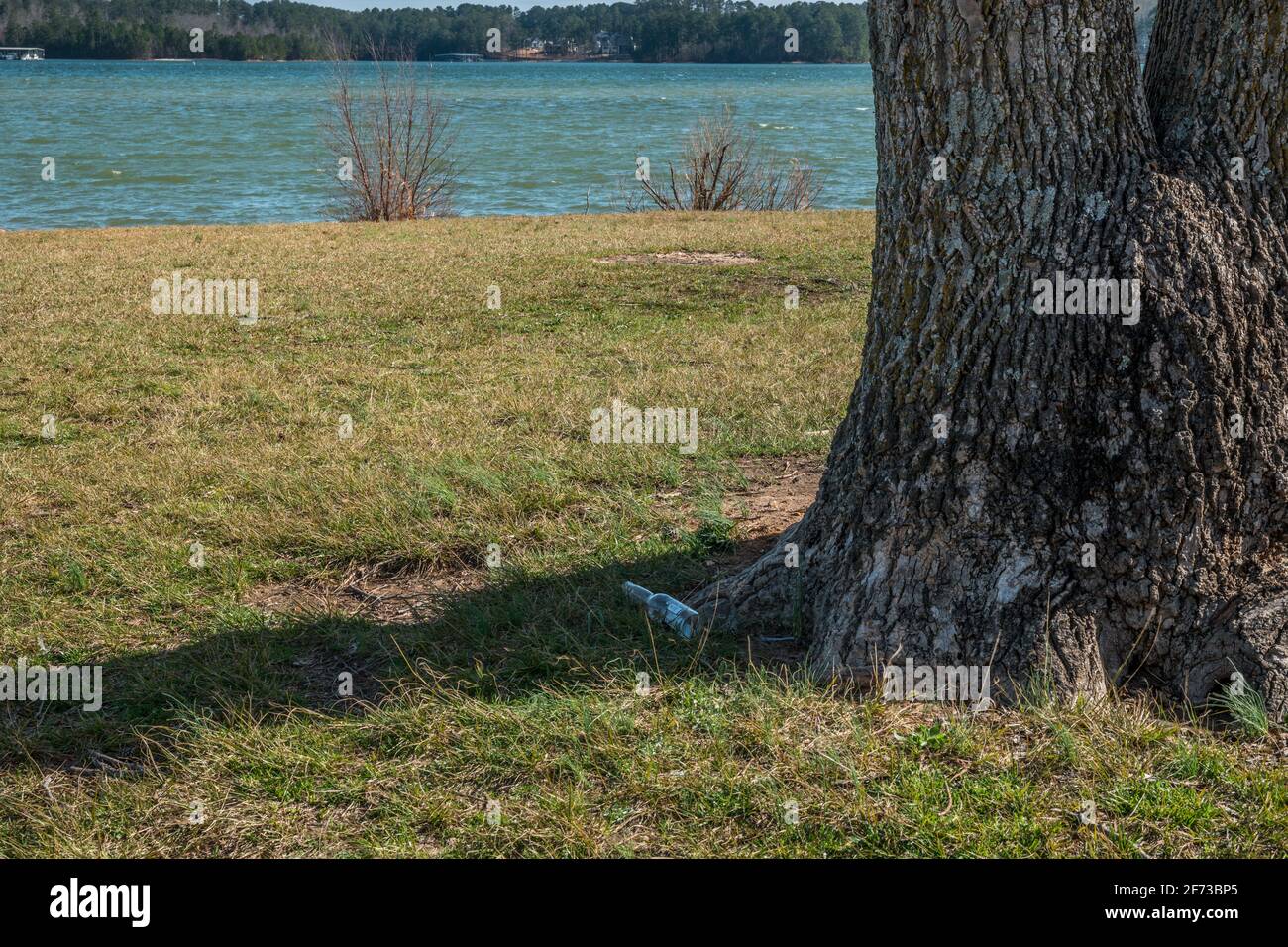 Leere schmutzige Glasbierflasche, die auf dem Boden liegt Der Baum in einem Park am See wurde sorglos weggeworfen Die Umwelt verschmutzen Stockfoto