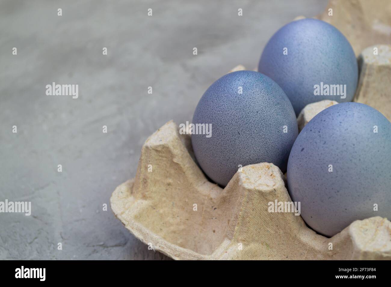 Die Eier in einer Pappschachtel sind mit natürlichem Farbstoff bemalt: Rotkohl. Ostern Stockfoto