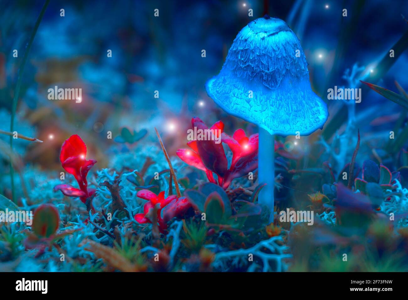 Ein fantastisch glühender Pilz in einem geheimnisvollen Wald. Mystisches Licht fliegende Lichterketten. Fabelhaftes Bild. Stockfoto