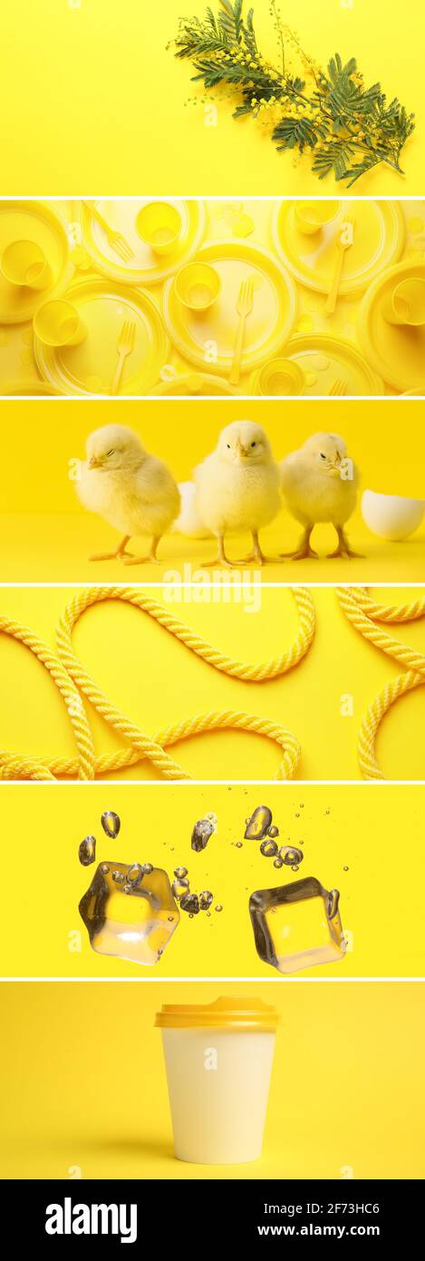 Collage von Fotos in gelben Farben Stockfoto