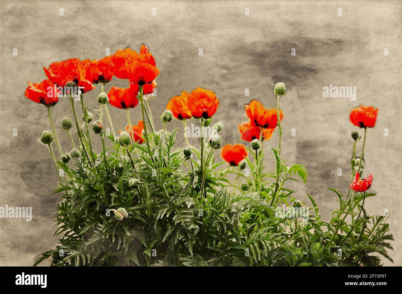Aquarell-Illustration von roten Mohnblumen im Landschaftspark als Frühlingsdekoration. Frischer Frühlingshintergrund auf die Natur Stockfoto