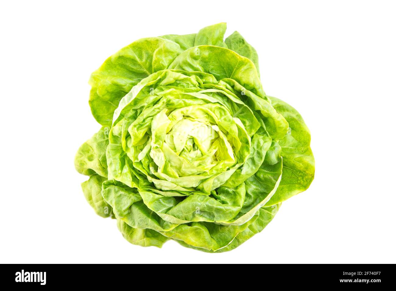Frischer Salat, isoliert auf weißem Hintergrund Stockfoto
