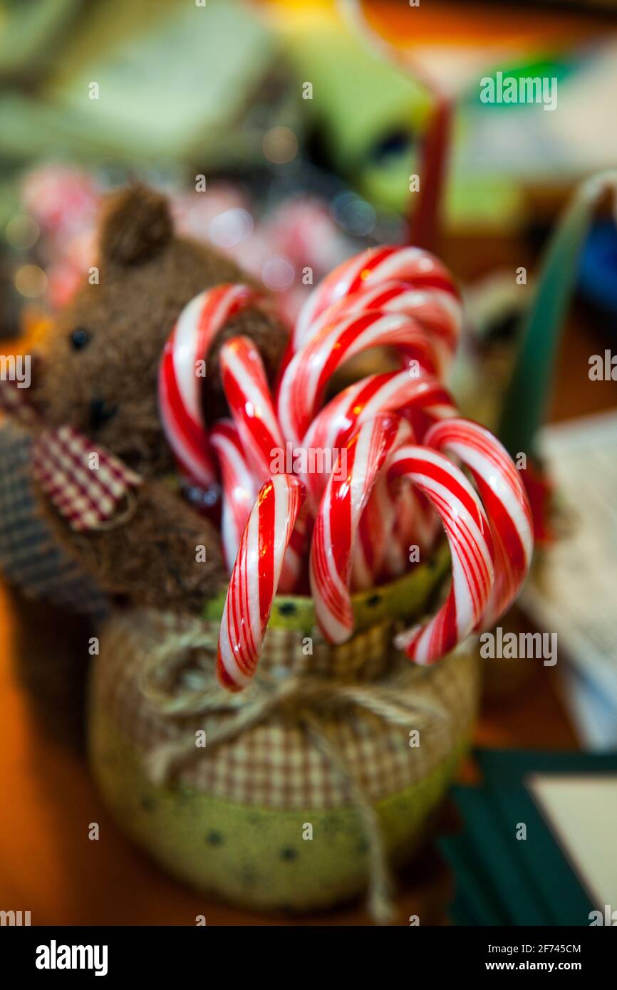 Candy Canes zur Weihnachtszeit Stockfoto