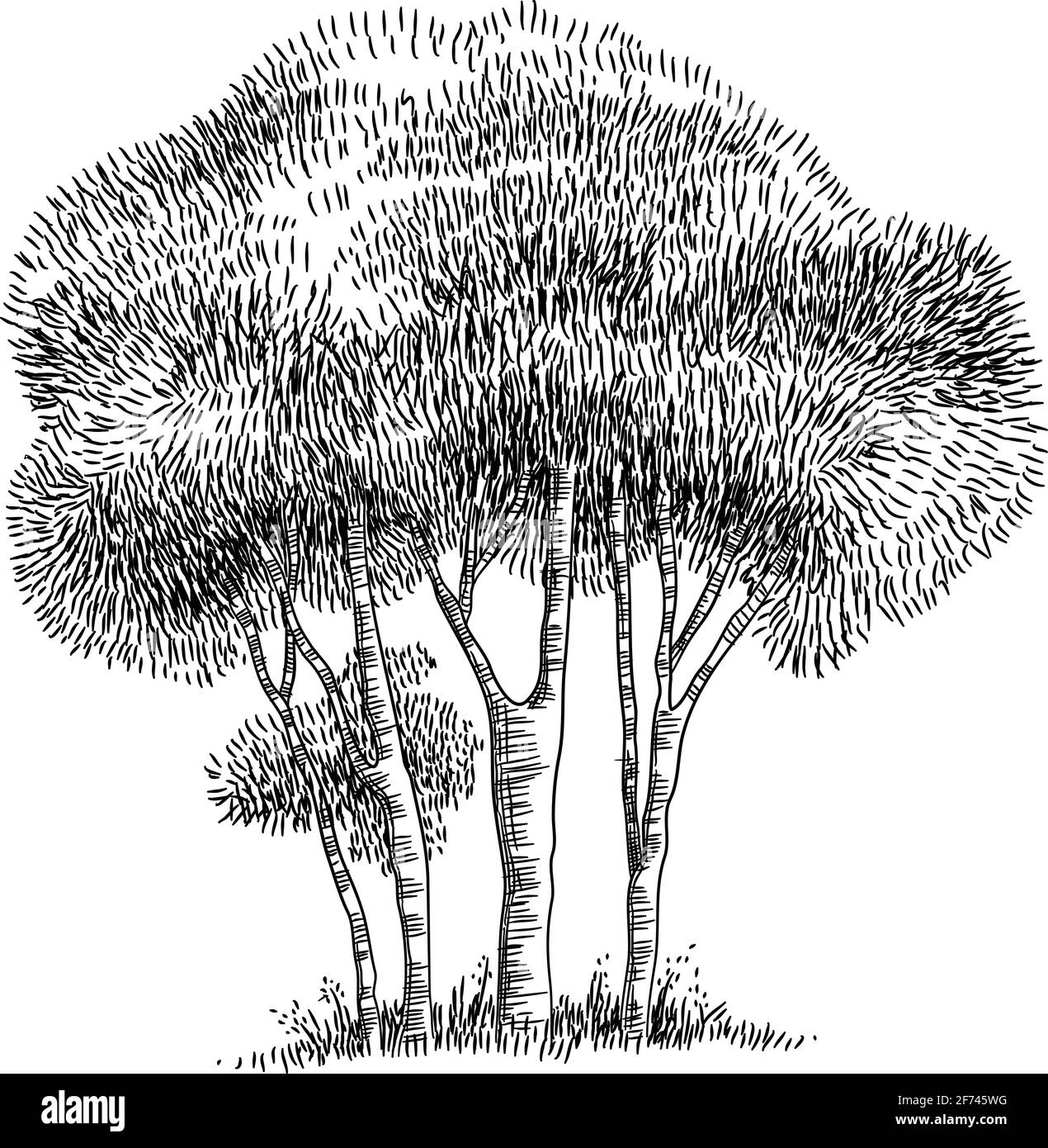 Symbol „Feldbäume“, handgezeichneter Stil und Umrissstil Stock Vektor