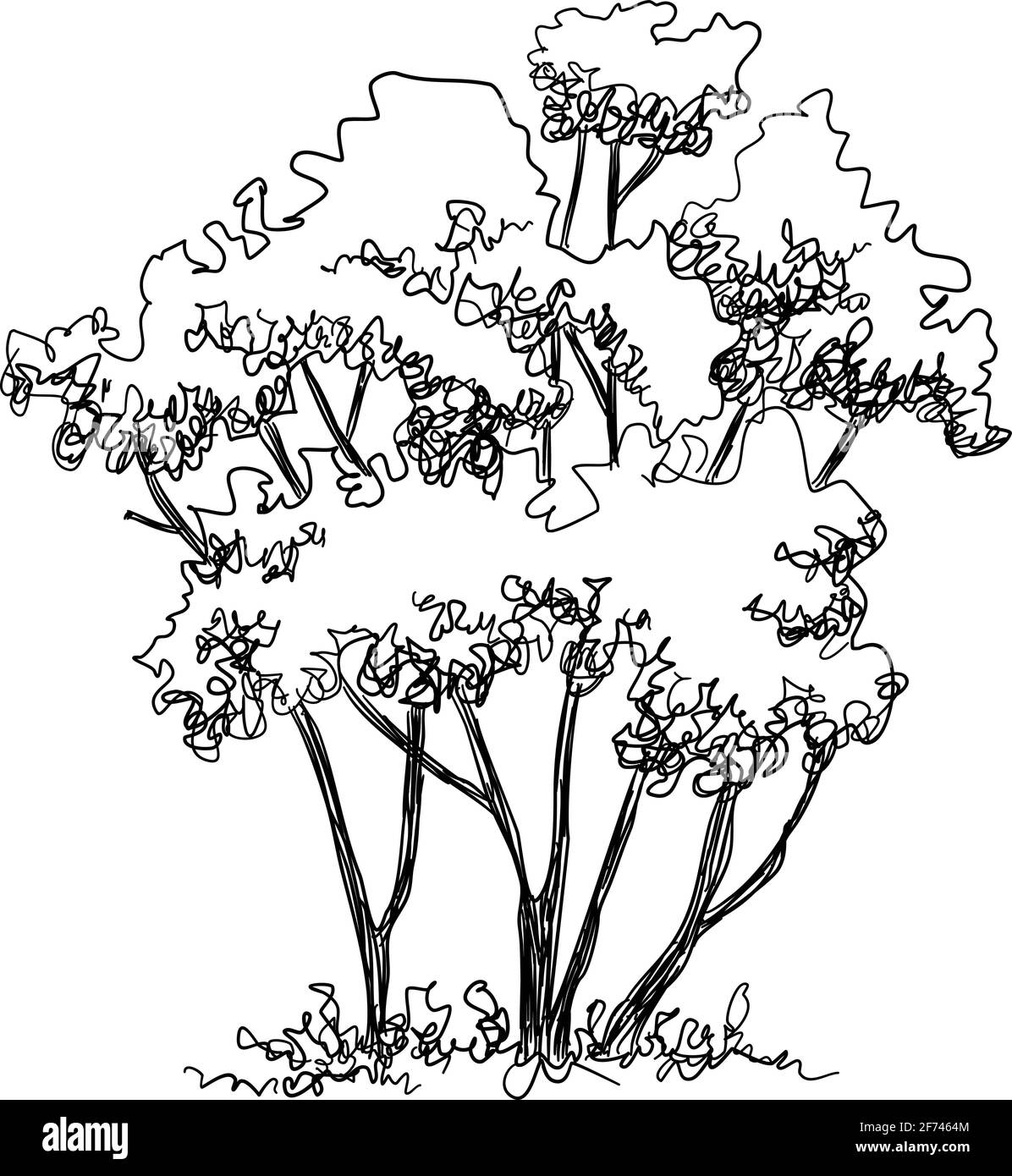 Symbol für dünne Bäume, handgezeichnete und umrissartige Darstellung Stock Vektor