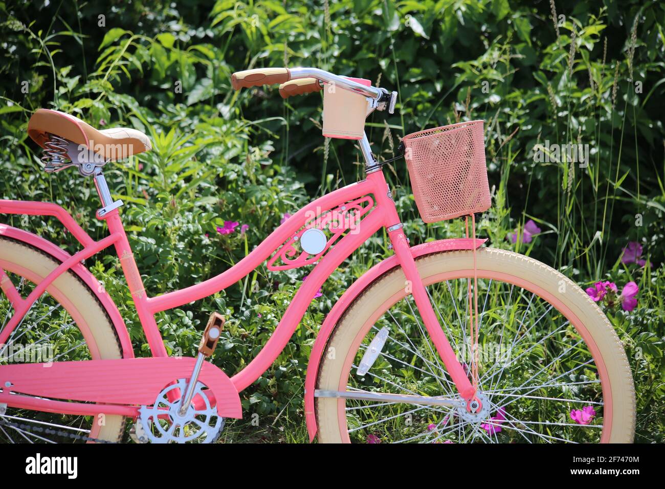 Special Edition pink retro style Freizeit Touring Mountainbike für Erwachsene Frauen mit Reise Korb im Sommer, Bewegung, Stil, Spaß, Sommer Stockfoto