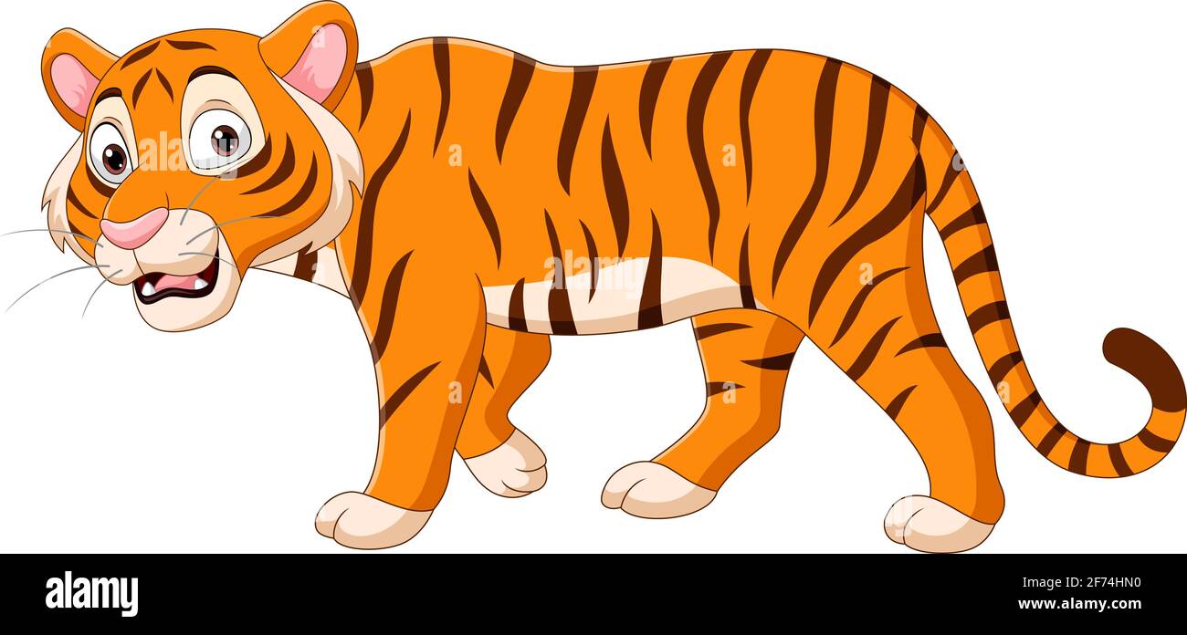 Cartoon Tiger auf weißem Hintergrund Stock Vektor