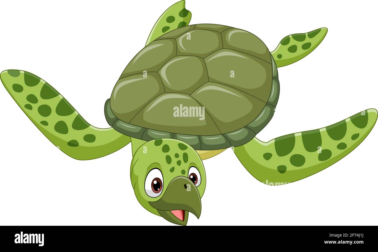 Cartoon Meeresschildkröte auf weißem Hintergrund Stock Vektor