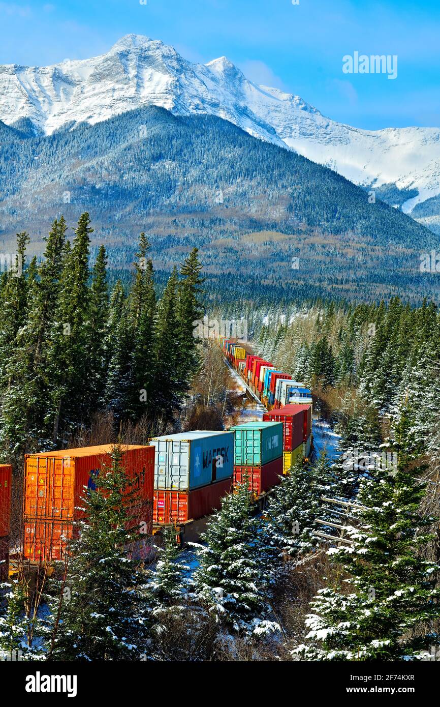 Ein mit Containern beladener kanadischer Güterzug fährt um eine Ecke in einem bewaldeten Gebiet der felsigen Berge von Alberta Canada. Stockfoto