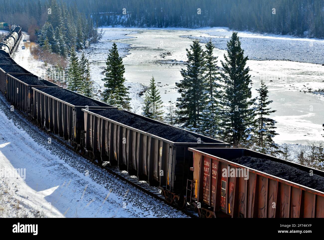 Ein kanadischer Güterzug, der mit Kohlewagen beladen ist, fährt um eine Ecke in einem bewaldeten Gebiet der felsigen Berge von Alberta, Kanada. Stockfoto