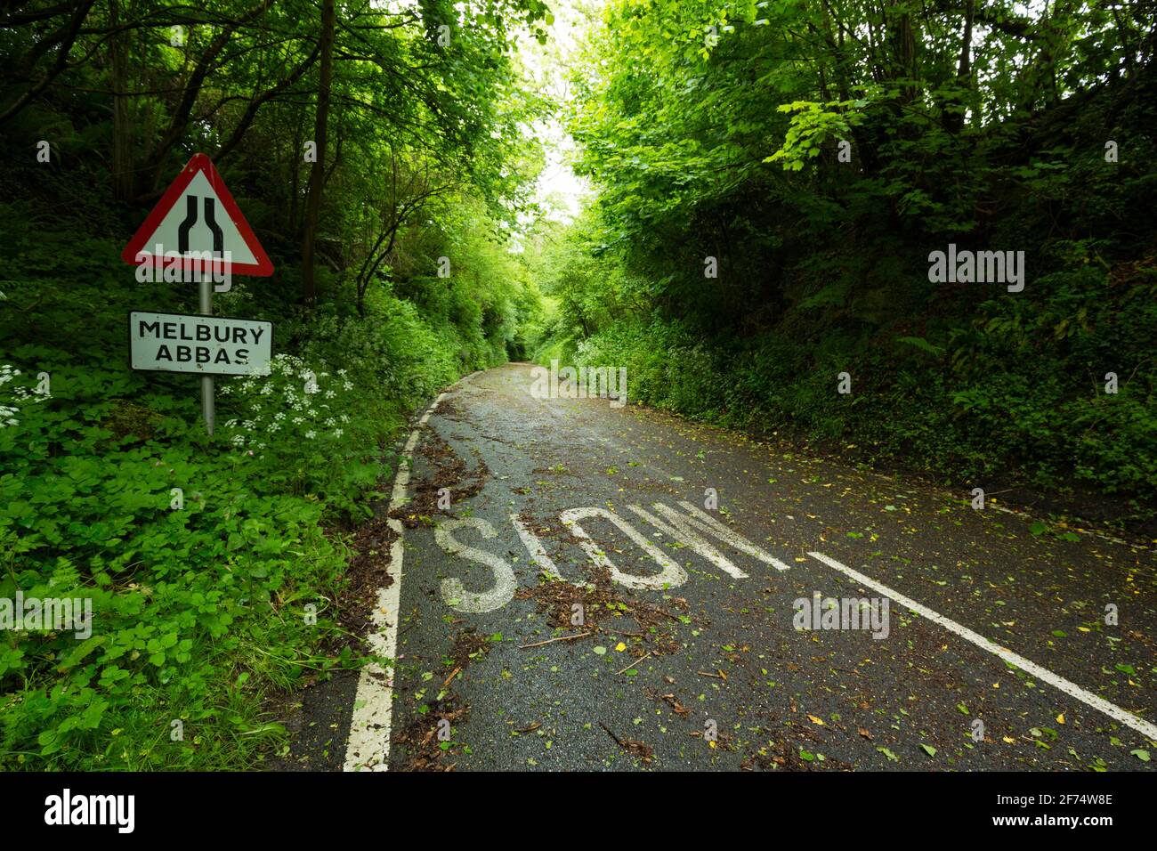 Die C13-Straße schloss im Juni 2015 an der Dinah-Höhle bei Melbury Abbas in der Nähe von Shaftesbury, Dorset Stockfoto